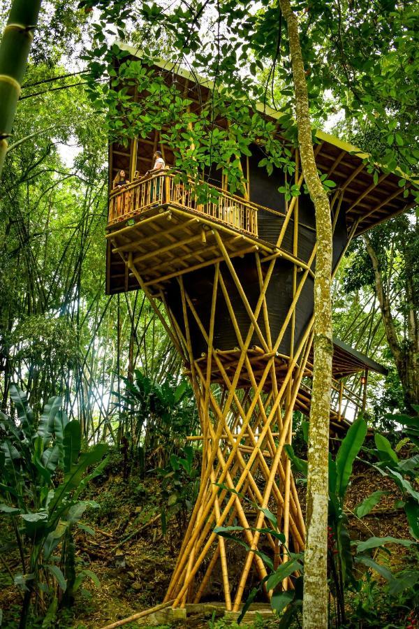 Eco Hotel Hacienda El Diamante 布加 外观 照片