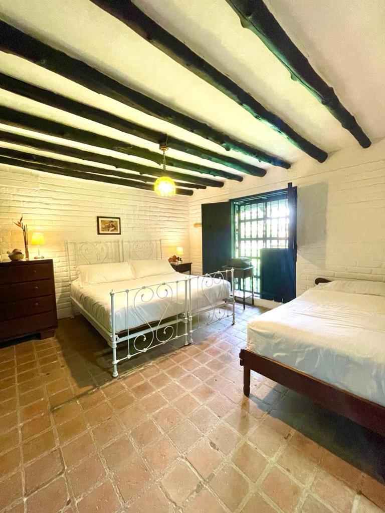 Eco Hotel Hacienda El Diamante 布加 客房 照片