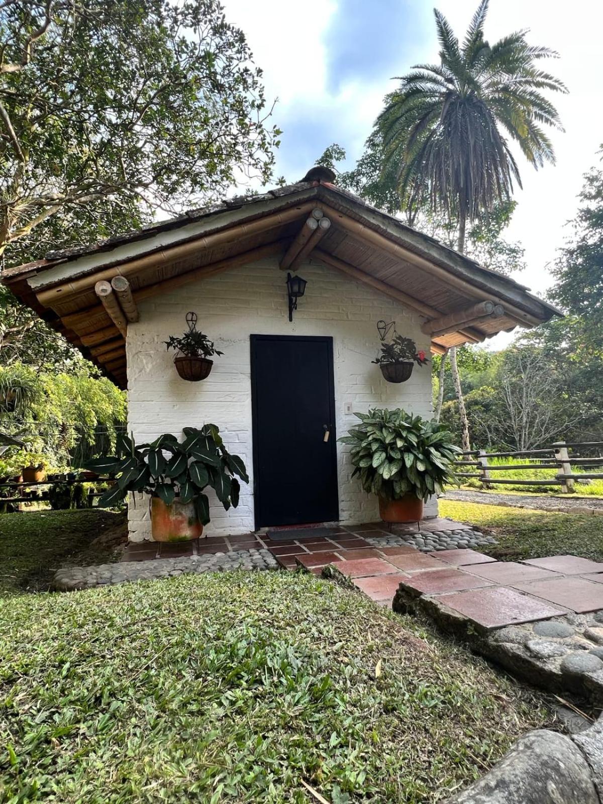 Eco Hotel Hacienda El Diamante 布加 客房 照片